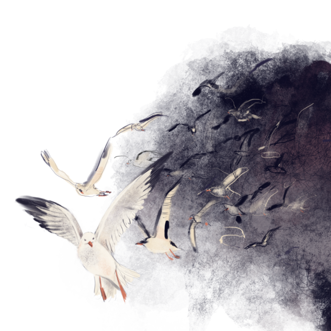 De Corresponden - Van Veelen - Rotterdam 2 - Eiland De Beer